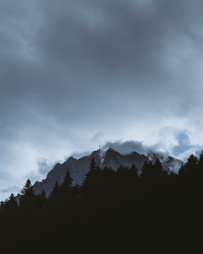 雾蒙山附近松树的剪影